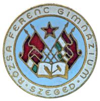 1950-1960 k. "Rózsa Ferenc Gimnázium - Szeged" zománcozott iskolajelvény (35mm) T:XF zománchiba