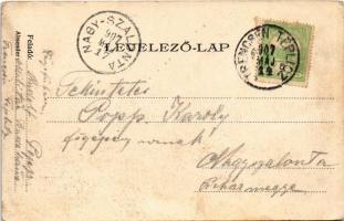 1907 Trencsénteplic, Trencianske Teplice; Villa völgy / villa valley (EK)