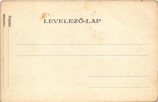 Trencsénteplic, Trencianske Teplice; Villa völgy / villa valley (EK)