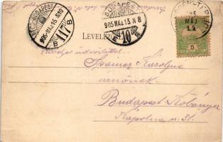 1905 Trencsénteplic, Trencianske Teplice; Heinrich utca és 1. számú fürdő. Wertheim Zsigmond kiadása...