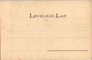 Trencsénteplic, Trencianske Teplice; Trencsén-Tepliczi népviselet. Wertheim Zsigmond kiadása / Trenc...