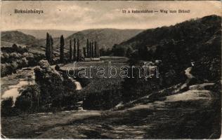 1917 Boksánbánya, Németbogsán, Deutsch-Bogsan, Bocsa Montana; Út a kutacskához / Weg zum Bründl / road to the well (kis szakadás / small tear)