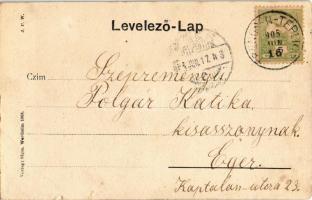 1905 Trencsénteplic, Trencianske Teplice; Széchenyi utca, látkép, Villa völgy, Heinrich utca és 1. s...