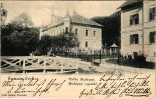 Trencsénteplic, Trencianske Teplice; Budapest nyaraló. Szold Henrik kiadása / Villa Budapest (kis szakadás / small tear)
