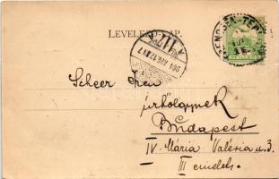 1904 Trencsénteplic, Trencianske Teplice; Petőfi villa. Hermann Seibt kiadása / Villa Petőfi (EK)