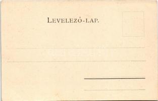 Trencsénteplic, Trencianske Teplice; Attila nyaraló. Edgar Schmidt kiadása / Villa Attila