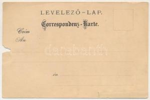 Trencsénteplic, Trencianske Teplice; látkép, gyógyterem / Cursalon / general view, spa. L. v. Sch. W...