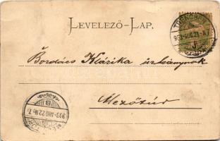 1903 Trencsénteplic, Trencianske Teplice; Parktó, csónakázók. Gansel Lipót 357. / Parkteich / park, ...