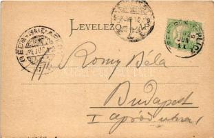 1902 Trencsénteplic, Trencianske Teplice; utca, fürdő. Gansel Lipót 224. / street view, spa, bathhou...