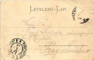 1902 Trencsénteplic, Trencianske Teplice; látkép. Gansel Lipót 5. / general view (b)