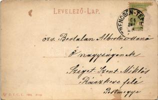 1904 Trencsénteplic, Trencianske Teplice; nyaralók / Villenviertel / villas (fa)