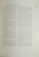 Standing in the Tempest: Painters of the Hungarian Avant-garde 1908-1930. S. A. Mansbach with contri...