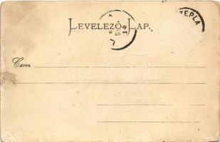 Hőlak, Trencséntepla, Trencsén-Tepla, Trencianska Teplá; vasútállomás. Gansel Lipót 59. / railway st...