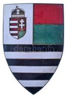 1930 k. zománcozott bronz iskolajelvény(?), hátoldalán "Jelvénygyár BPest Holló u. 14." gyártói jelzéssel (51x34mm) T:XF kis zománchiba