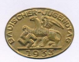 Német Harmadik Birodalom 1933. "Badischer-Jugendtag" bronz lemezjelvény (30x22mm) T:XF,VF tű hiányzik German Third Reich 1933. "Badischer-Jugendtag" bronze badge (30x22mm) C:XF,VF pin missing