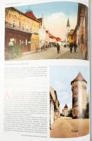 Bencsik Gábor: Vármegyék könyve. Milleniumi körkép Magyarországról. I-II. köt. Bp., 2008, Magyar Mer...