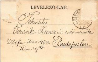 1901 Trencsén, Trencín; vár, vasútállomás. Gansel Lipót kiadása, szecessziós-lóherés litho keret / c...