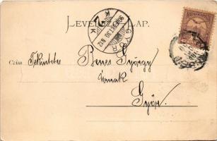 1900 Trencsén, Trencín; vár, híd. Gansel Lipót 135. / castle, bridge (EM)