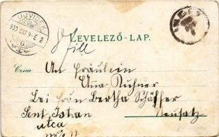 1900 Vágújhely, Neustadt an der Waag, Nové Mesto nad Váhom; Római katolikus templom, részletek. Brüc...