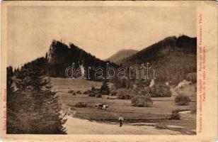 Sztracenai-völgy, Ztracená, Stracenovska dolina, Stratena; Táj részlet a sztraczenai völgyből. Fejér E. kiadása / valley (szakadás / tear)