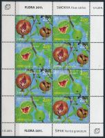 2011 FÜGE és gránátalma Mi 331-332 kisív