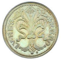 DN "A legértékesebb magyar érmék - Károly Róbert aranyforintjának replikája" aranyozott Cu...