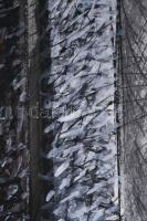 Hajdú László (1938-): Ék, 1989. Vegyes technika, papír. Jelezve balra lent. Hátoldalán autográf feli...