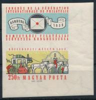 1959 FIP (II.) ívsarki vágott szelvényes bélyeg (3.500)