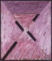 Hajdú László (1938-): Geo 0220, 1993. Olaj, vászon. Jelzett a hátoldalán. 80x70 cm.