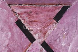 Hajdú László (1938-): Geo 0220, 1993. Olaj, vászon. Jelzett a hátoldalán. 80x70 cm