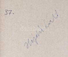 Hajdú László (1938-): Geo 0220, 1993. Olaj, vászon. Jelzett a hátoldalán. 80x70 cm