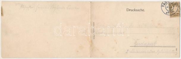 1899 Passau. 2-tiled folding panoramacard (fl)