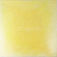 Hajdú László (1938-): Méz, 2007. Akril, vászon. Jelzett a hátoldalán. Fakeretben. 80x80 cm.