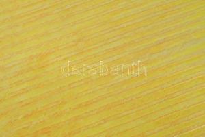 Hajdú László (1938-): Méz, 2007. Akril, vászon. Jelzett a hátoldalán. Fakeretben. 80x80 cm