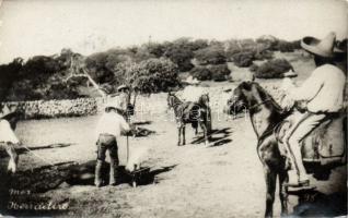 Herradero / Mexican horse farm, livestock branding, Mexikói ló tanya, lovak sütése