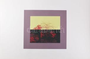 Hajdú László (1938-): Hajóroncs emlék, 1980. Szitanyomat, papír. Jelzett. Művészpéldány EA. 10. szám...