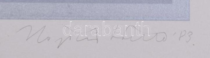 Hajdú László (1938-): Korall, 1983. Szitanyomat, papír. Jelzett. Próbanyomat "próba" jelzé...