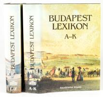 Budapest Lexikon. I-II. köt. (A-K; L-Z). Bp., 1993, Akadémiai Kiadó. Második, bővített, átdolgozott kiadás. Szövegközti képekkel gazdagon illusztrálva. Kiadói egészvászon-kötés, kiadói papír védőborítóban. + 1993 Budapest térképe (új utcanevekkel), Bp., Kartográfiai Vállalat, 80x116 cm