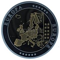 2002-2010 k. "Emlékérem az euróövezet országainak közös valutájáról - Írország" aranyozott...