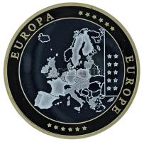 2002-2010 k. "Emlékérem az euróövezet országainak közös valutájáról - Monaco" aranyozott, ...