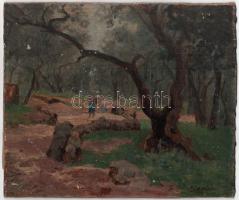 Nádler Róbert (1858-1938): Olivaerdőben. Olaj, karton. Jelezve jobbra lent. Kissé sérült. 25,5×30,5 cm.