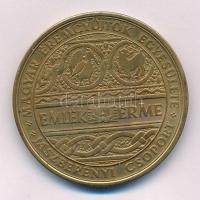 Lisztes István (1942-) 1973. "MÉE - Jászberényi Csoport / Pest-Buda-Óbuda egyesítésének századik évfordulójára" kétoldalas bronz emlékérem (42,5mm) T:XF