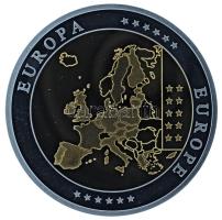 2002-2010 k. "Emlékérem az euróövezet országainak közös valutájáról - Szlovénia" aranyozot...