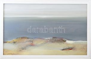 Csavlek András (1942-): Vízpart (Balaton), 1987. Olaj, farost, jelzett, fakeretben, 50×80 cm