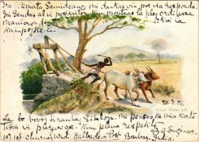 1904 Indian Water Lift, folklore (EK)