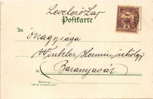 1900 Wien, Vienna, Bécs; Österreich. Wiener Wäschermadl / Viennese washerwoman, Austrian folklore. A...