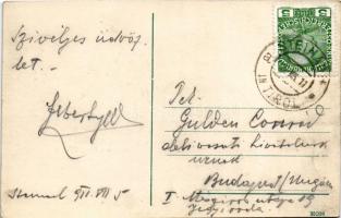 1911 Steinach am Brenner (Tirol), Alt-Steinach / general view, Tyrolean folklore. Josef Peer, Floral...