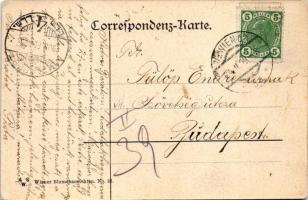 1908 Wien, Vienna, Bécs; Neuer Markt mit Donnerbrunnen / market square, fountain. A. S. W. Wiener Bl...