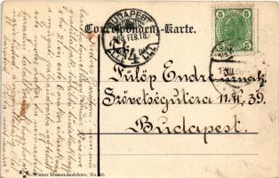 1908 Wien, Vienna, Bécs; Gänsemädchen. A. S. W. Wiener Blumenansichten No. 10. Montage with flowers ...