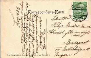 1910 Wien, Vienna, Bécs; Rathaus "Na wart's, i wiar enk glei helfen" / town hall, hum...